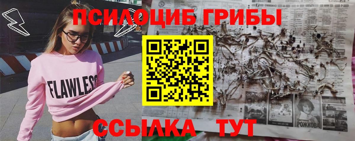 Златоуст  Псилоцибиновые грибы мухоморы  Вход с VPN 